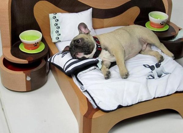 21 Cool Furniture For Pets