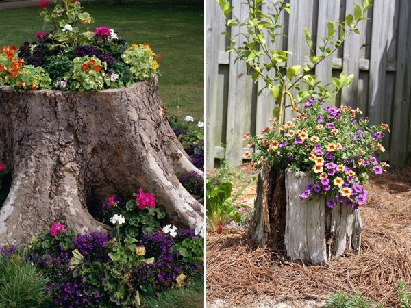 Ways to decorate old tree stumps in garden