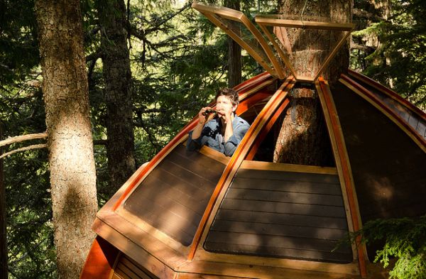 Whistler tree house 10