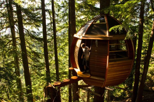 Whistler tree house 5