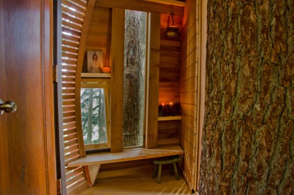 Whistler tree house 6