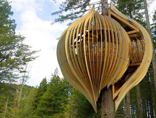 Yellow tree house3