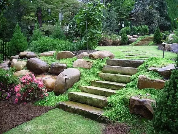 Backyard Landscaping Design