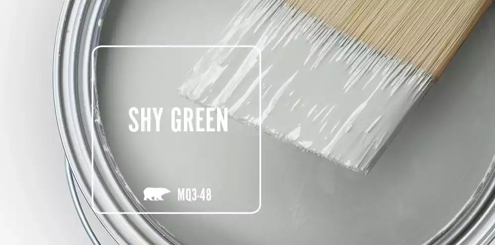 Behr Shy Green LRV 63