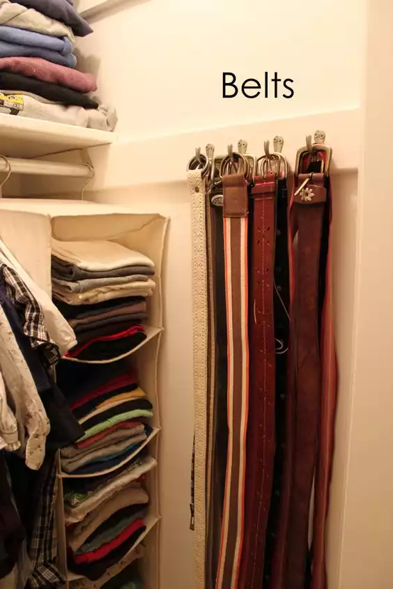 Belts closet organizer