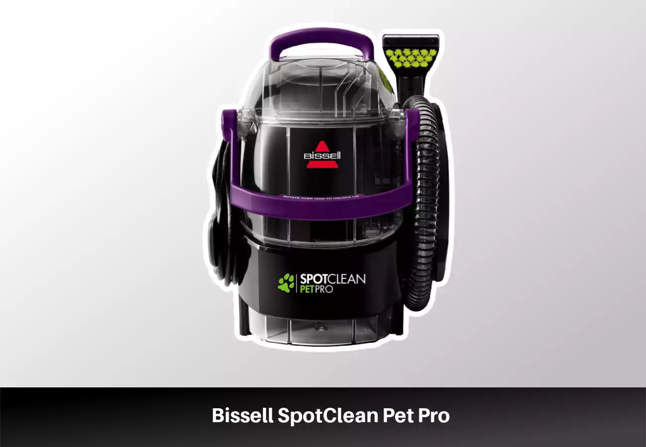 The Best Carpet Cleaners for Pets