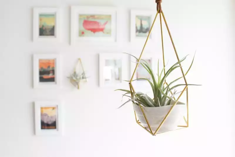 Brass air plant holder