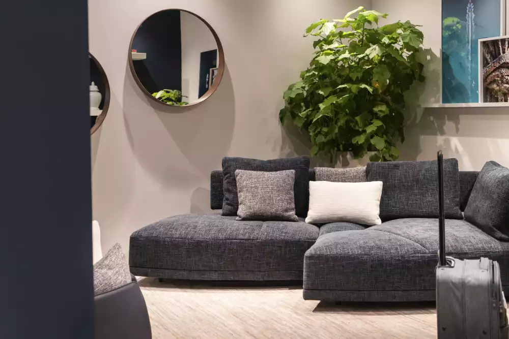 Live Plants Add Warmth To Any Cozy Corner