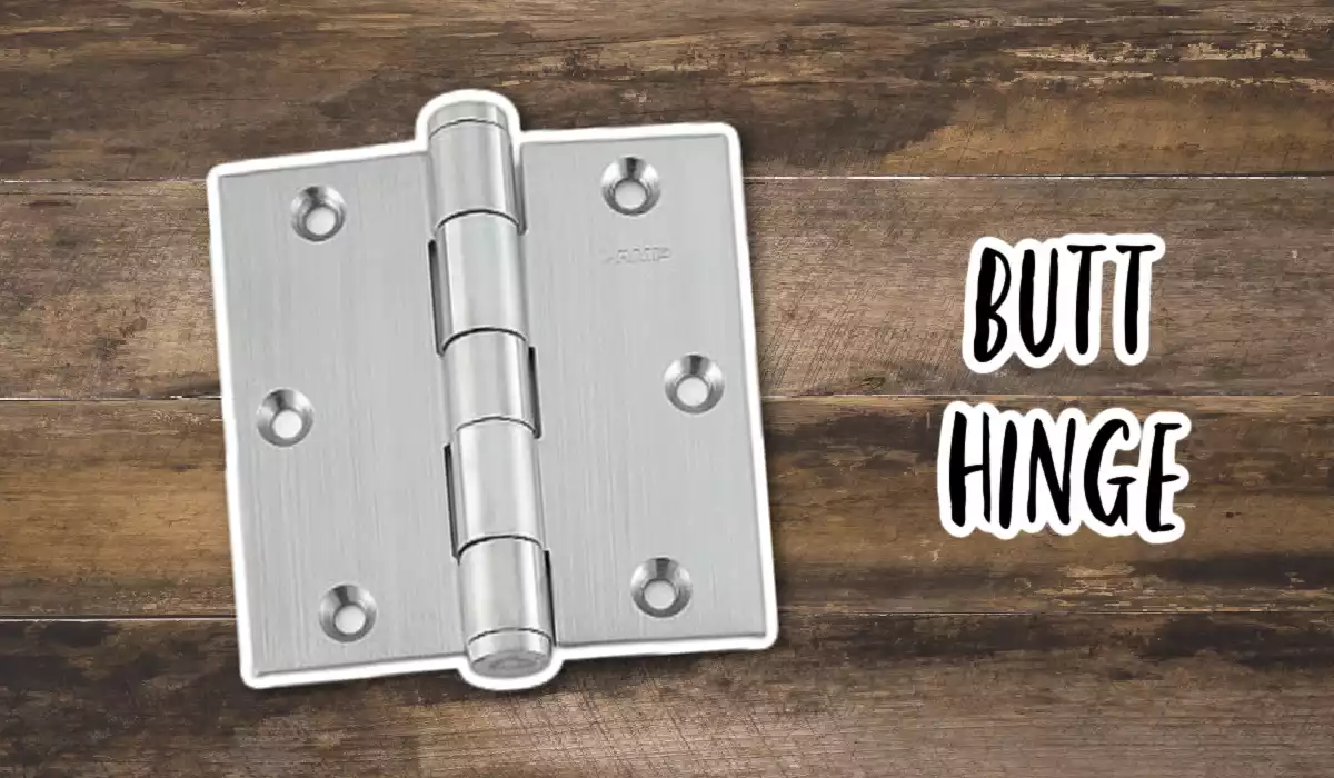 Butt Hinge