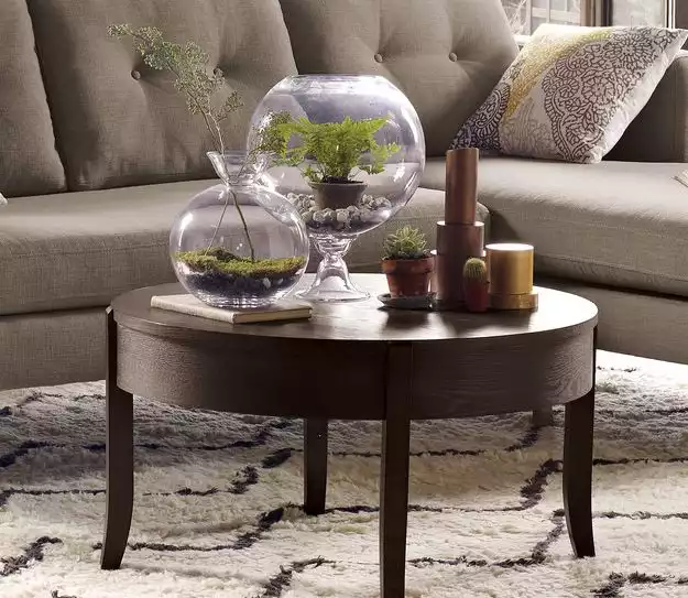 Coffee table terrarium