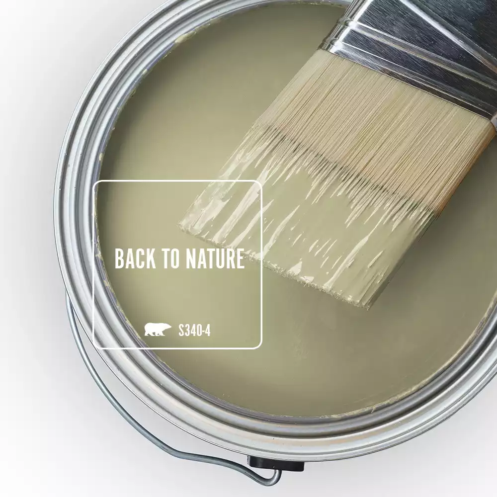 Color Of The Year 2020: Back To Nature