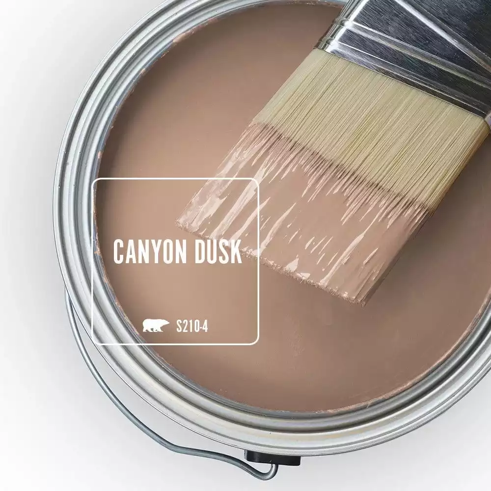 Color Of The Year 2021: Canyon Dusk
