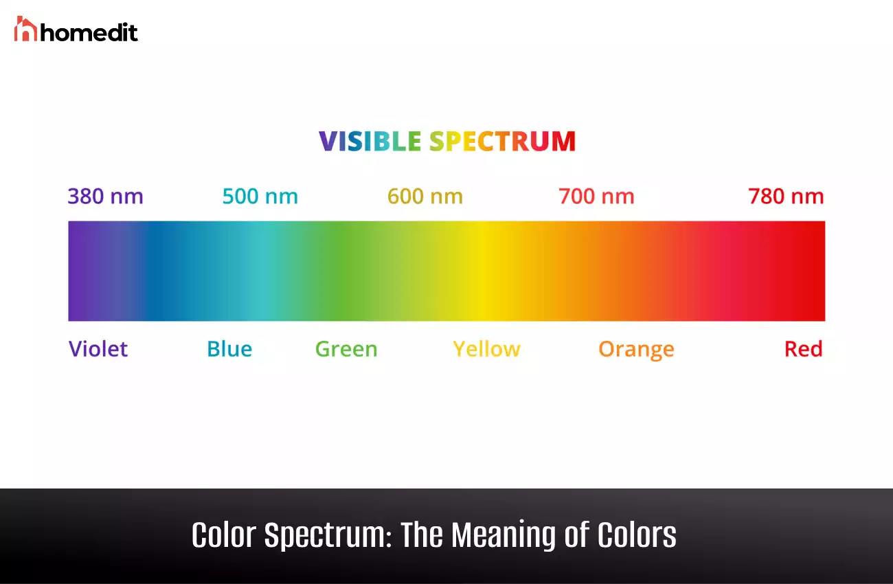 Color Spectrum: The Meaning of Colors and How to Use Them