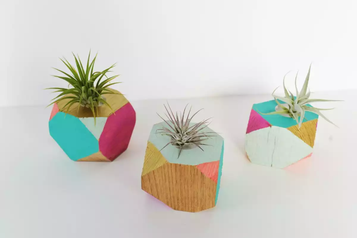 Table top geometric wood planter