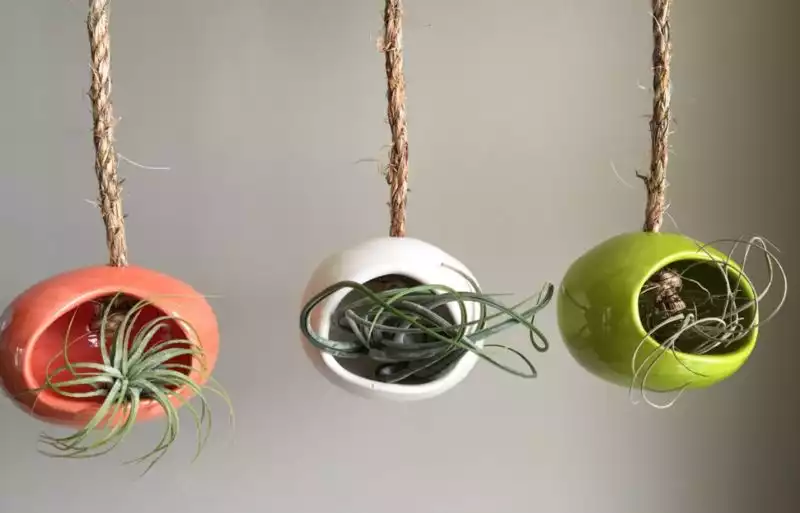 Colorful ceramic hanging air plants pots