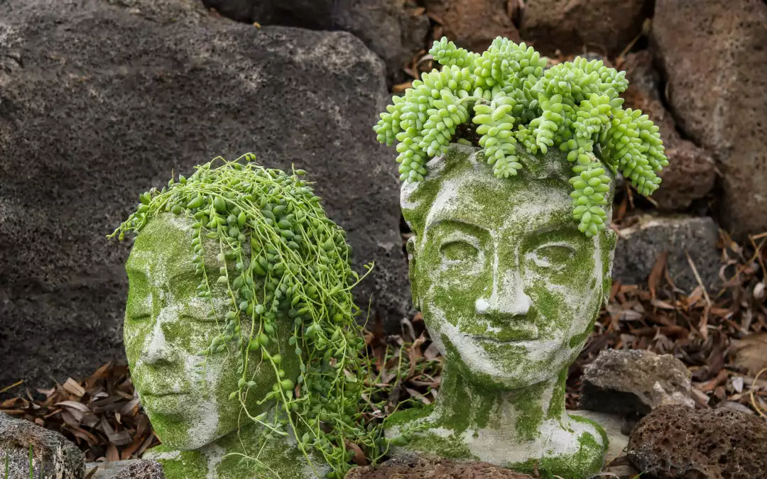 Concrete planters that look like sculpted heads