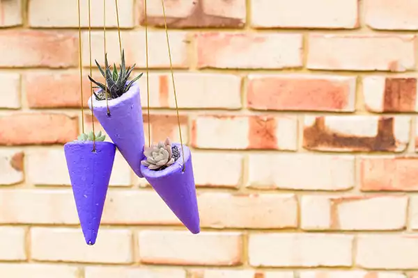 Cone Succulent hanging planters