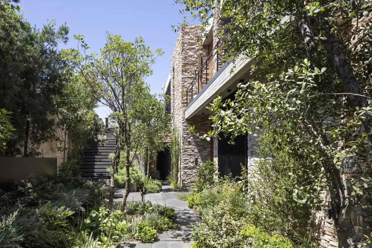 Outside, the local vegetation organically merges with the house