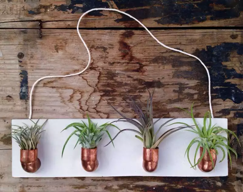 Copper and cement air plant holder