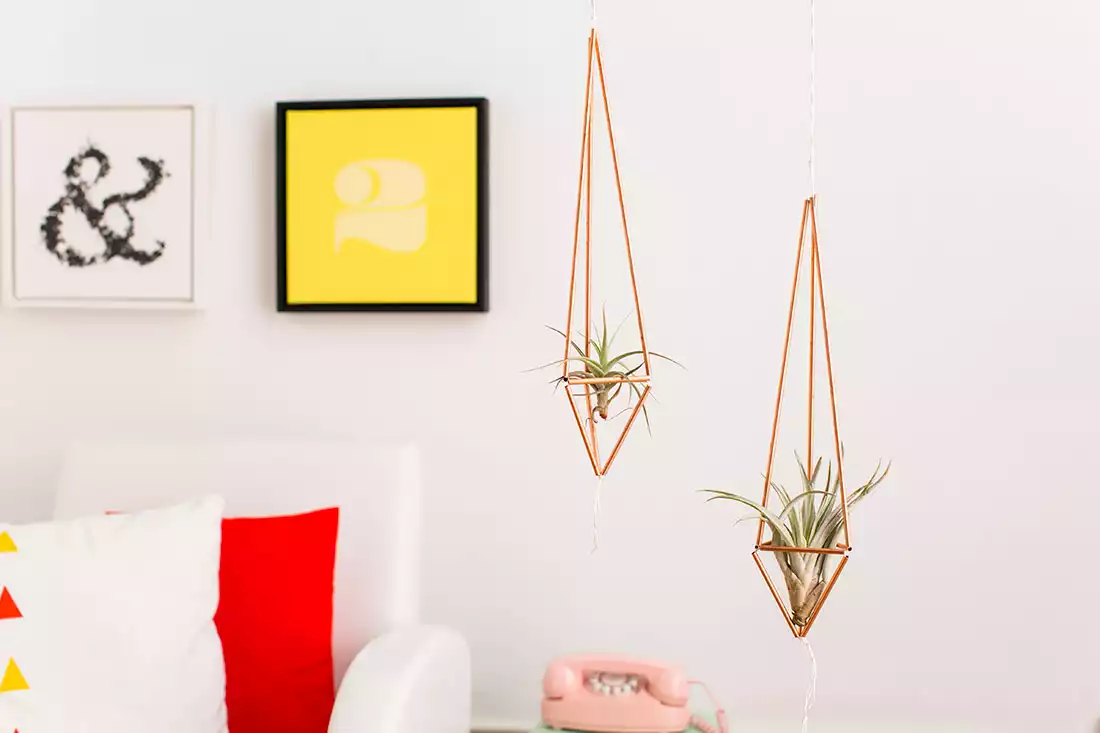 Copper plant hanger for air plants