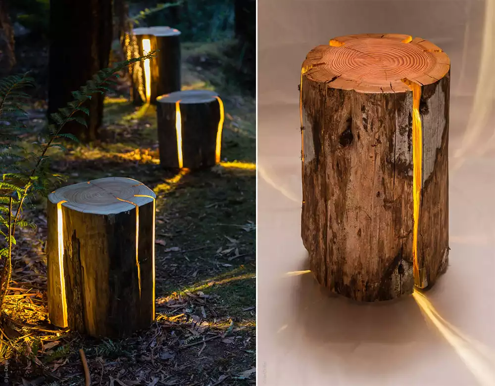 Cracked Log Lamps by Duncan Meerding Collage