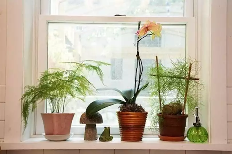 Create A Tiny Window Sill Garden