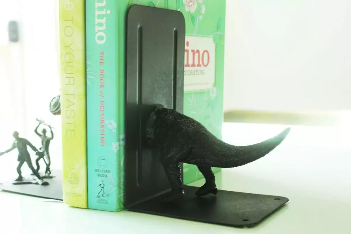 DIY Bookends Project from Toys