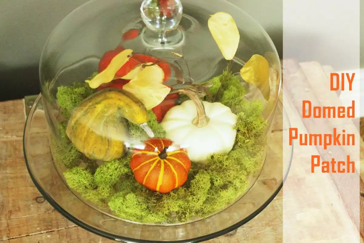 DIY Fall Pumpkin Terrarium