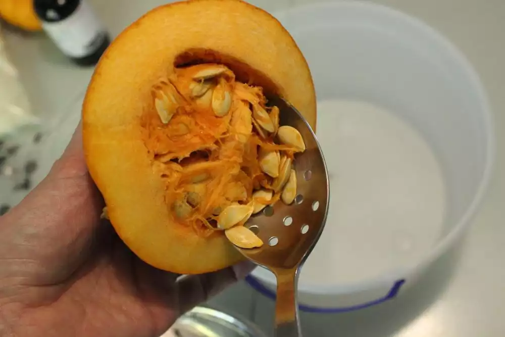 DIY Pumpkin Candles - Save and roast the seeds