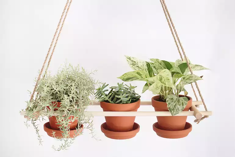 DIY hanging planter - trio