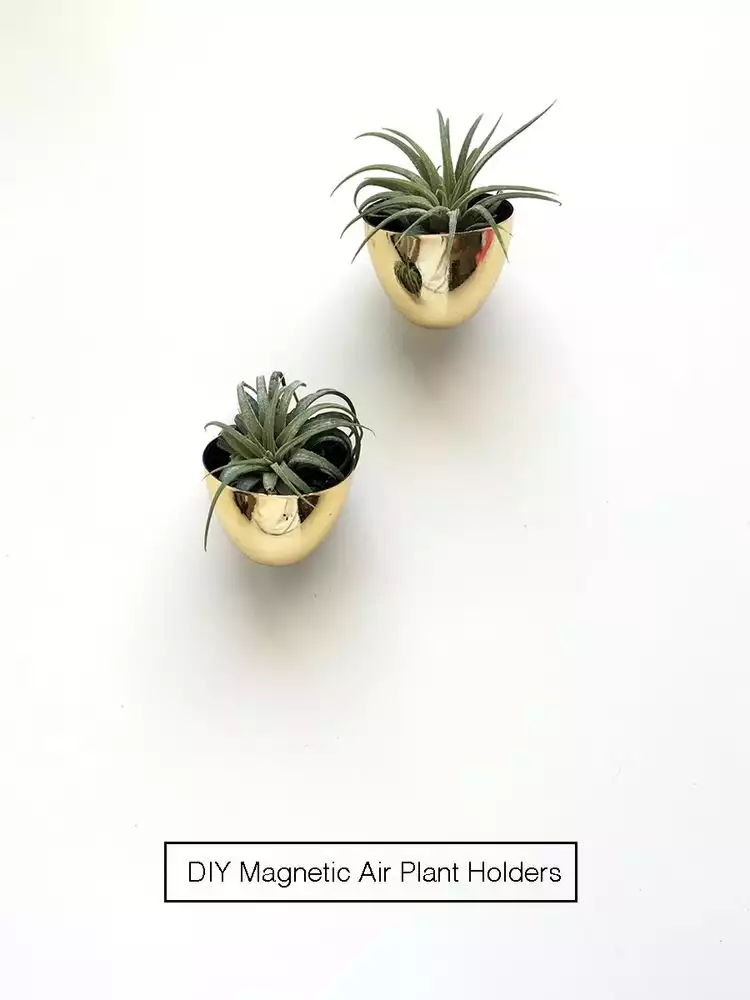 DIY magnetic air plant holders