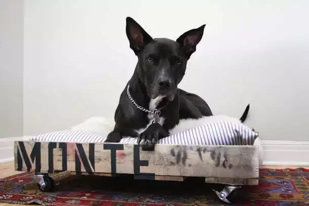 DIY pallet dog bed