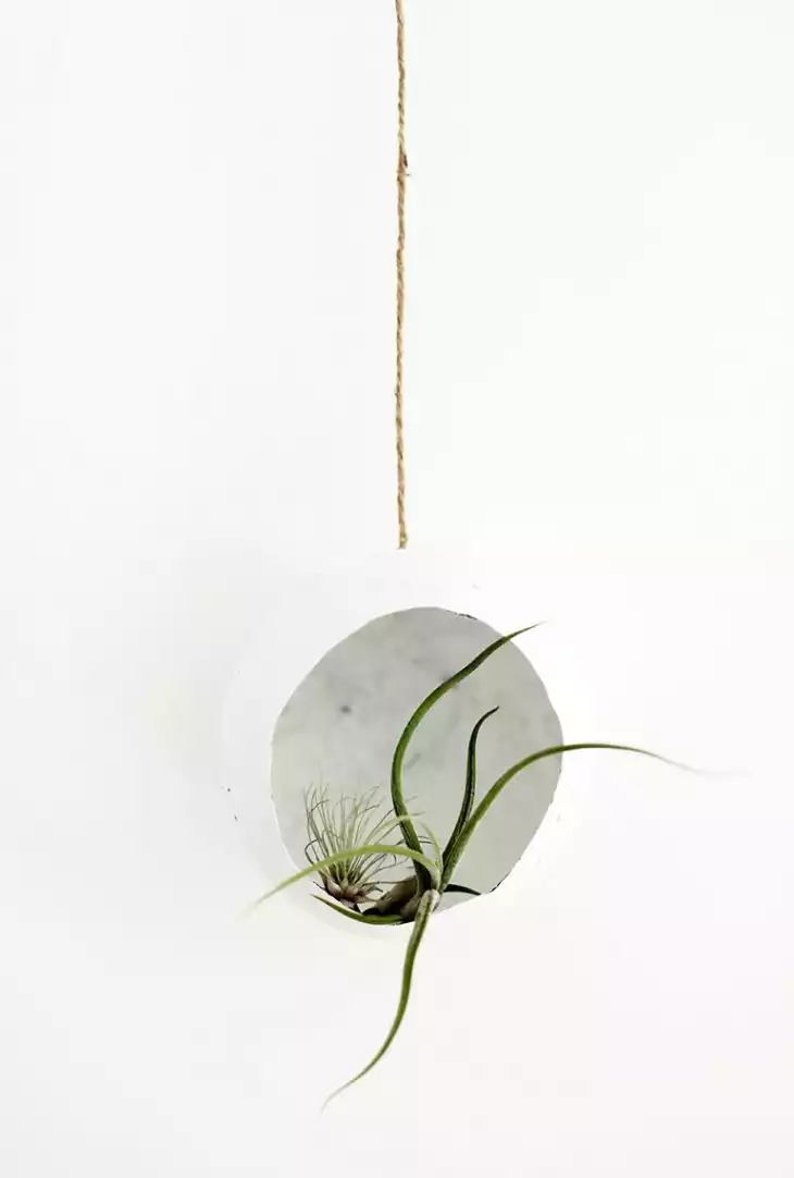 DIY paper mache air plant pod