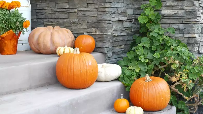 Decorate stairs with pumpkins