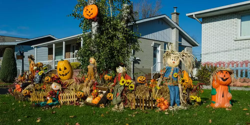 Cute and Happy Pumpkins