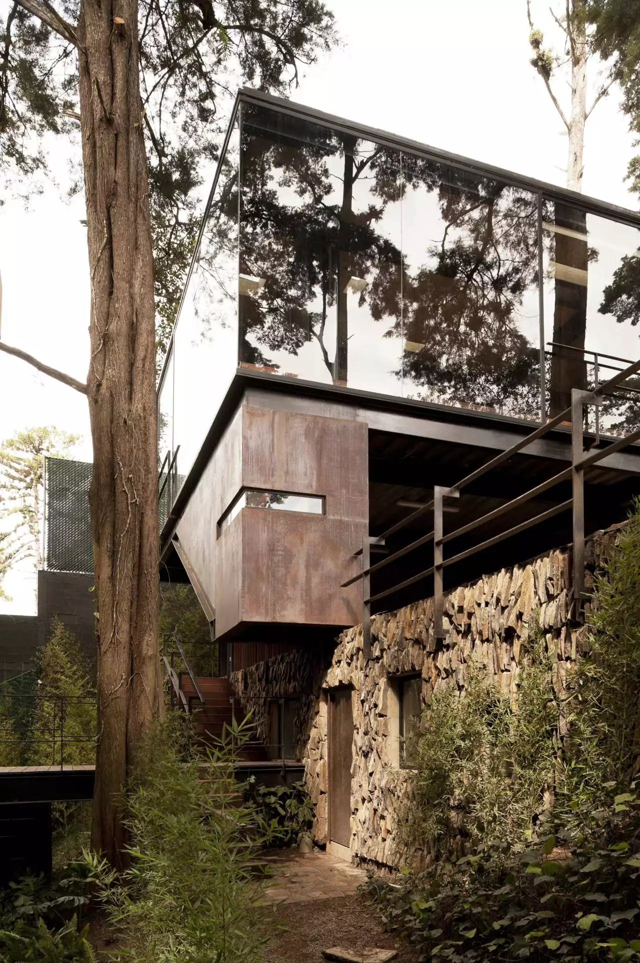 Dense hillside forest house Large glass wall