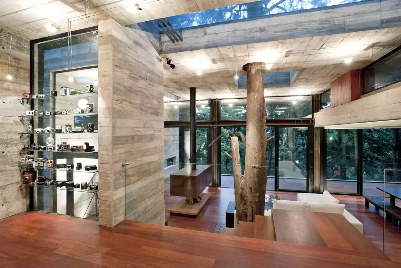 Dense hillside forest house interior