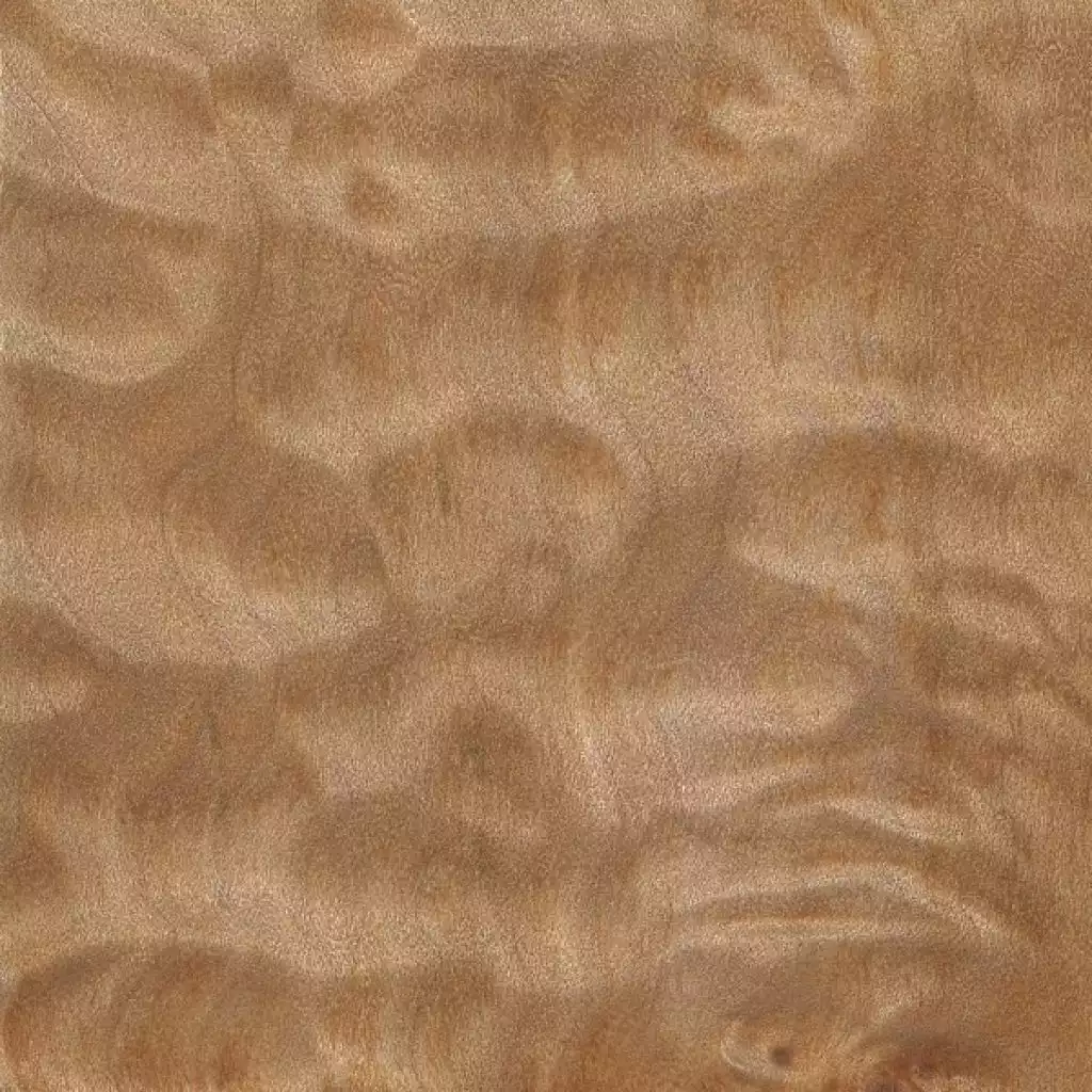 Different Types of Maple Wood