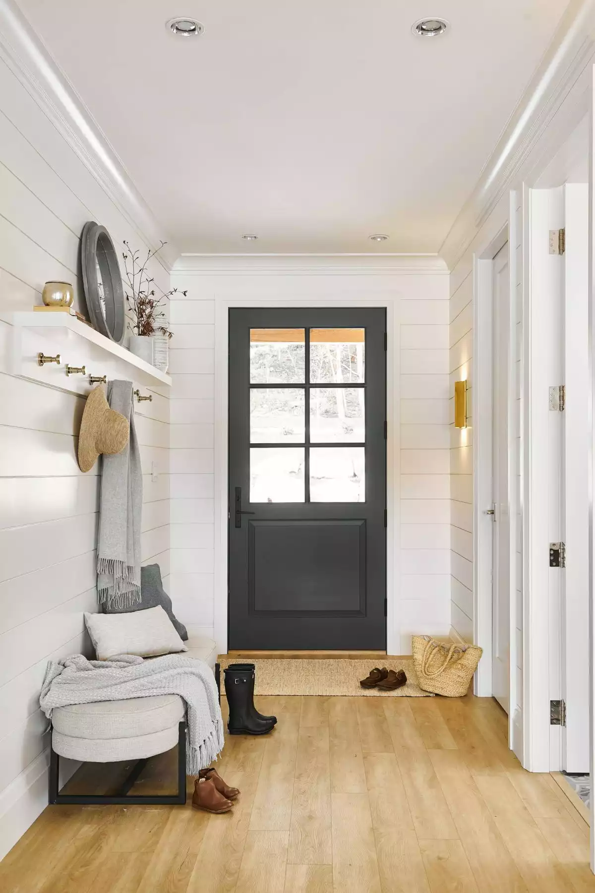 Door Color