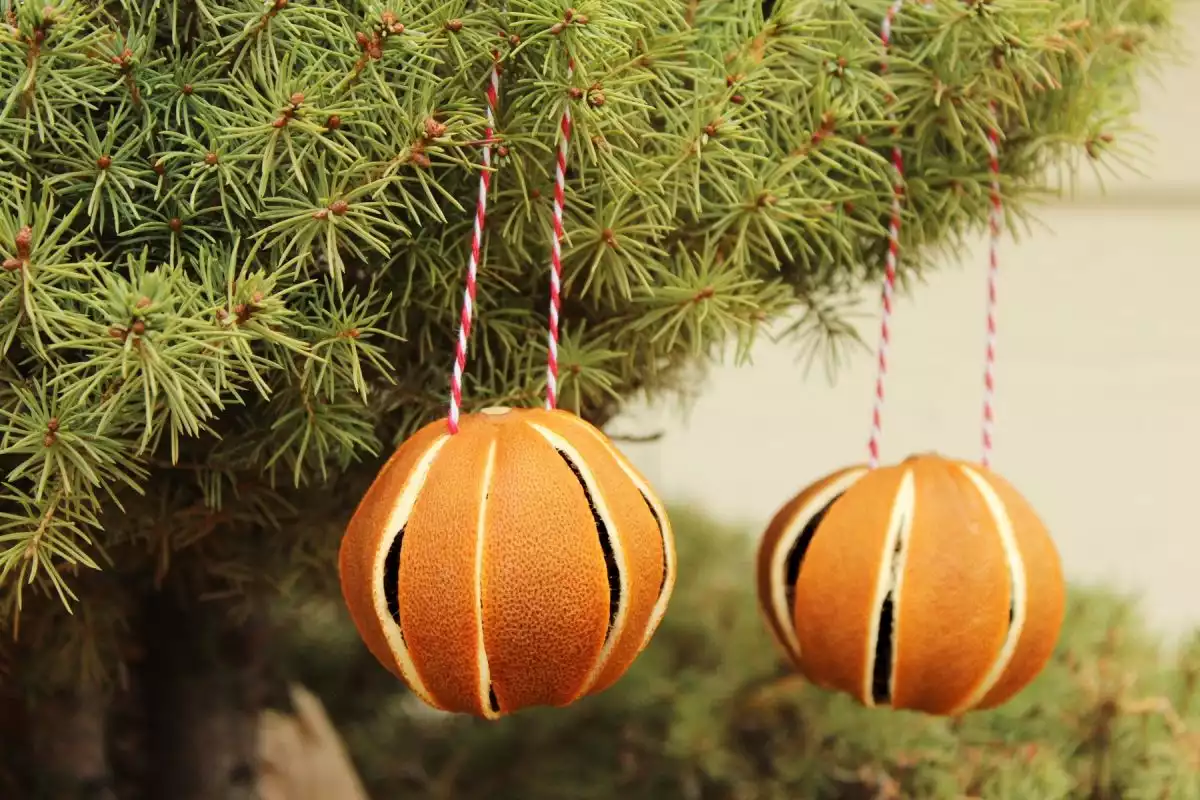 Rustic Christmas Dried orange ornaments 