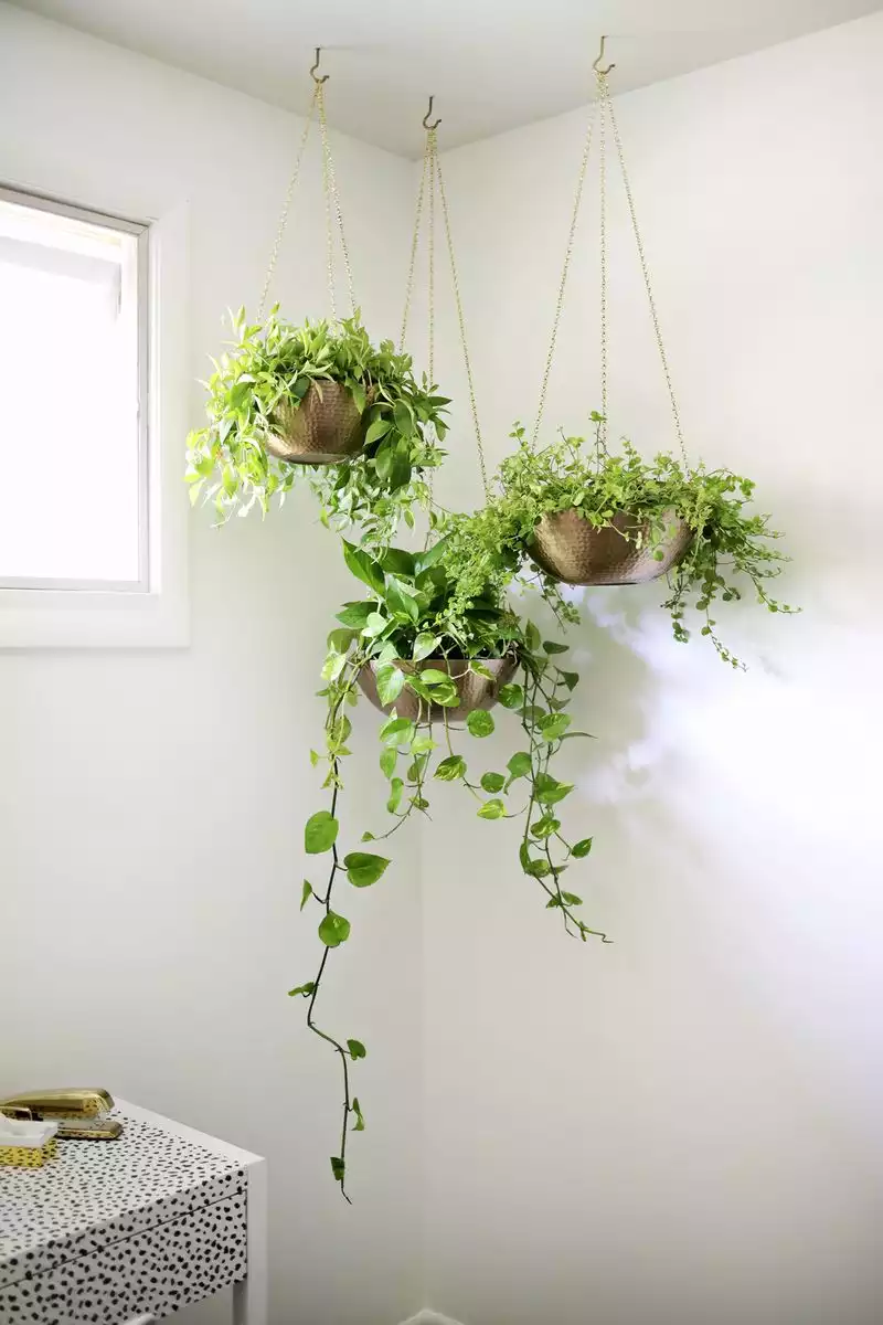 Easy hanging planter