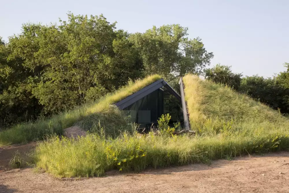 Edgeland House In Austi with A Grene Slope Roof Bercy Chen Studio Grass