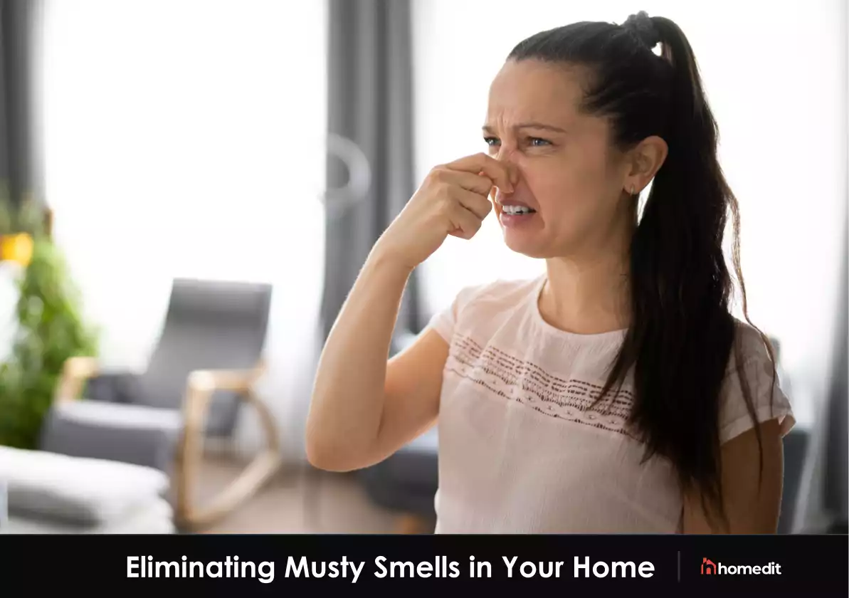 How to Stop Your House from Smelling Musty