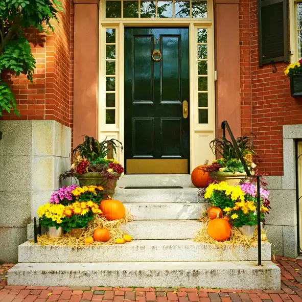 Fill the lawn with creepy decorations