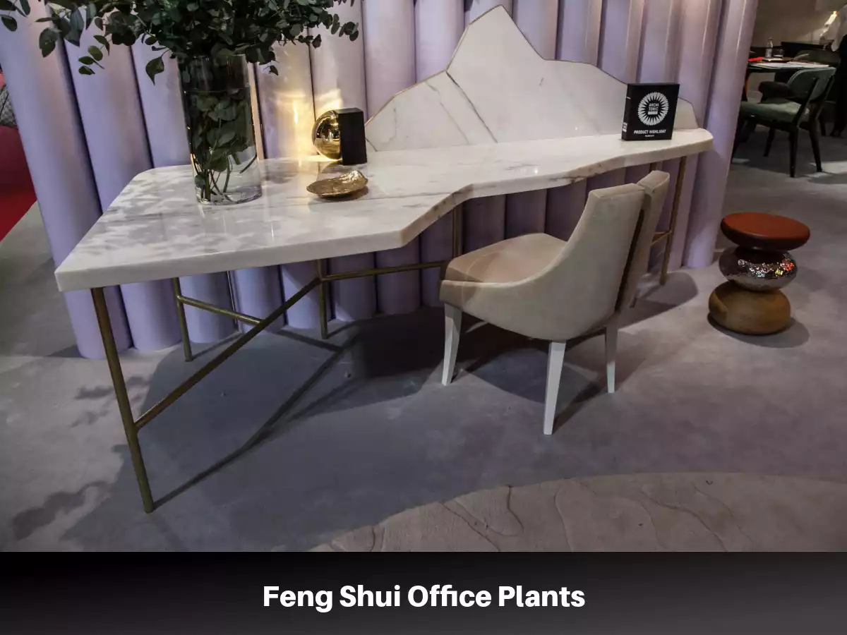 feng shui office plants