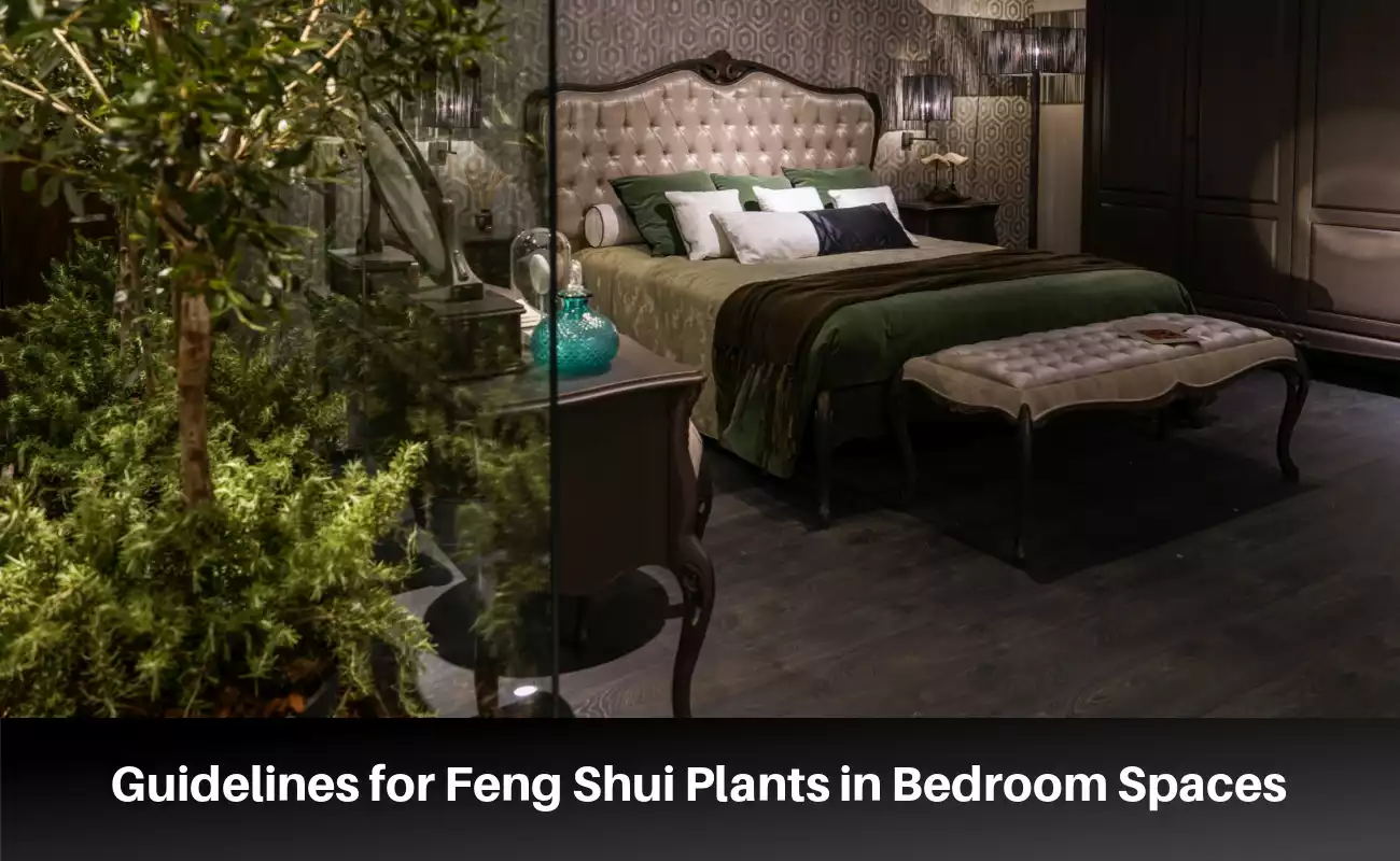 Simple Rules for Feng Shui Plants in Bedroom Spaces