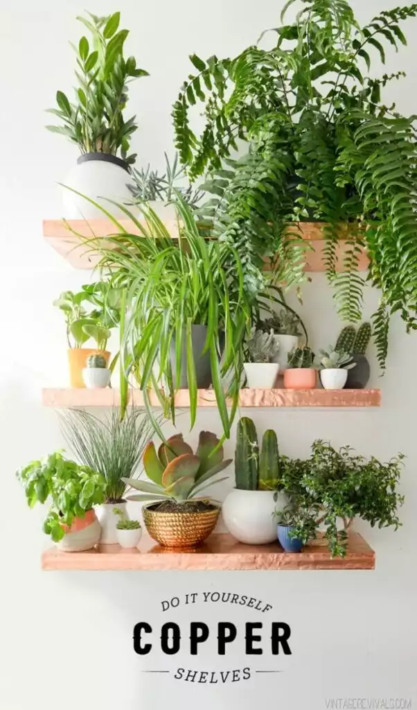 Floating shelves with copper edges