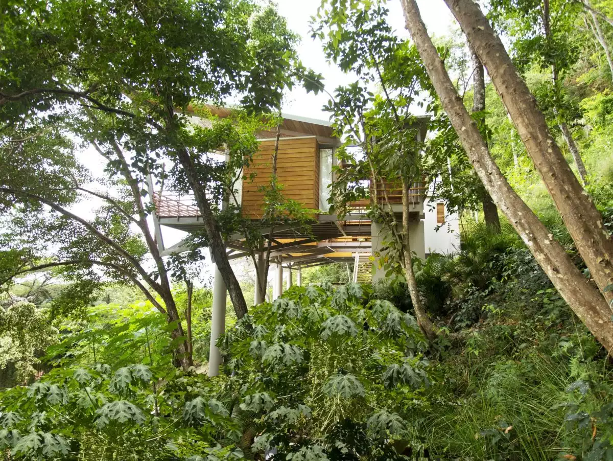 Flotanta House Around Lush Forest