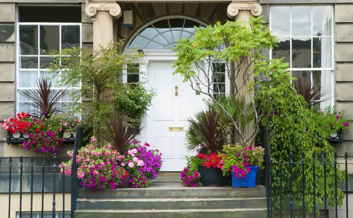 Focus on the Entrance