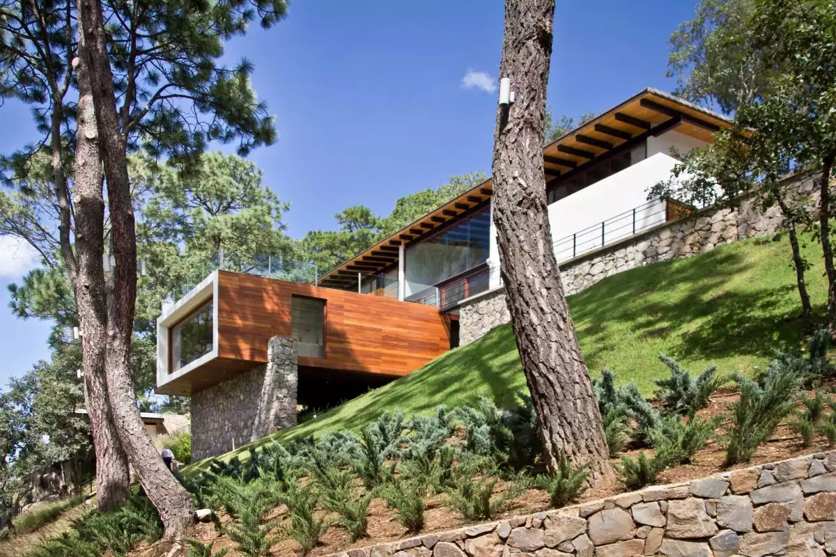 Forest House in Mexic